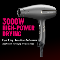 Sèche-cheveux professionnel FirePhoenix F3 MAX PRO OEM ODM 3000W BLDC à moteur sans balais, léger, séchage rapide pour salon