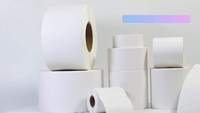 Étiquettes autocollantes en PET personnalisées avec impression de logo, en rouleau, échantillon gratuit, 80x50mm