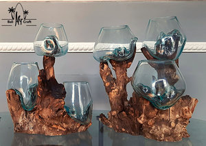 Clear Desktop Round Vases Fish <strong>Terrarium</strong> Glass Bowl Jar <strong>Terrarium</strong> DIY <strong>Kit</strong> With Two Plants Other Landscaping Decking - Product Image 4