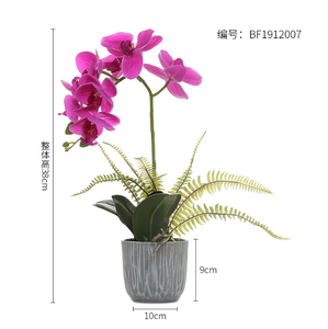 <span class=keywords><strong>Orchidée</strong></span> artificielle bonsaï, 1 pièce, tactile, avec pot, fleurs pour la décoration - Product Image 6