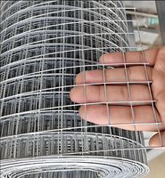 Rouleau de treillis soudé en acier galvanisé robuste, taille personnalisée, maille plate, pour poulailler, cage à lapins, construction de murs - Vente en gros