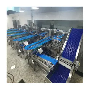 Broiler gravimetric tavuk ayak kiraz pick ekipmanları seçin kanatlı sınıflandırıcı tavuk bacaklar gigisıralayıcı sıralama makinesi