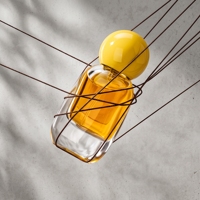 Eau de Toilette Naturelle, Flacon de Parfum en Verre de Luxe avec Pompe Dorée, Bouchons et Capsules de Flacon, Distributeur de Parfum