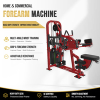 Fournisseur Professionnel d'Équipements de Fitness Haut de Gamme de Luxe, Machine pour les Avant-bras Certifiée CE, Tube en Acier Q235, Bodystorm DB151A