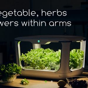 Système de culture hydroponique verticale automatique pour légumes à domicile avec réservoir d'eau et pots en forme de tour - Product Image 5