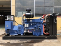 Weifang HWP10ZLD 200KW 250KVA Wassergekühlter Offener Rahmentyp Stromerzeuger Bürstenloser Alternator Automatischer Start ATS CE-Zertifiziert 50/60Hz