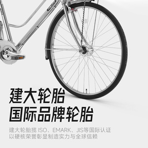 Bicicleta Urbana para Mujer Philips de 26 Pulgadas con Cuadro de Acero, Canasta y Portaequipajes Trasero - Product Image 4