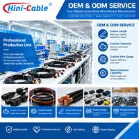 Connecteur de faisceau de câbles automobile étanche, assemblage de câbles personnalisé pour système d'éclairage et de capteurs de véhicule, fournisseur OEM