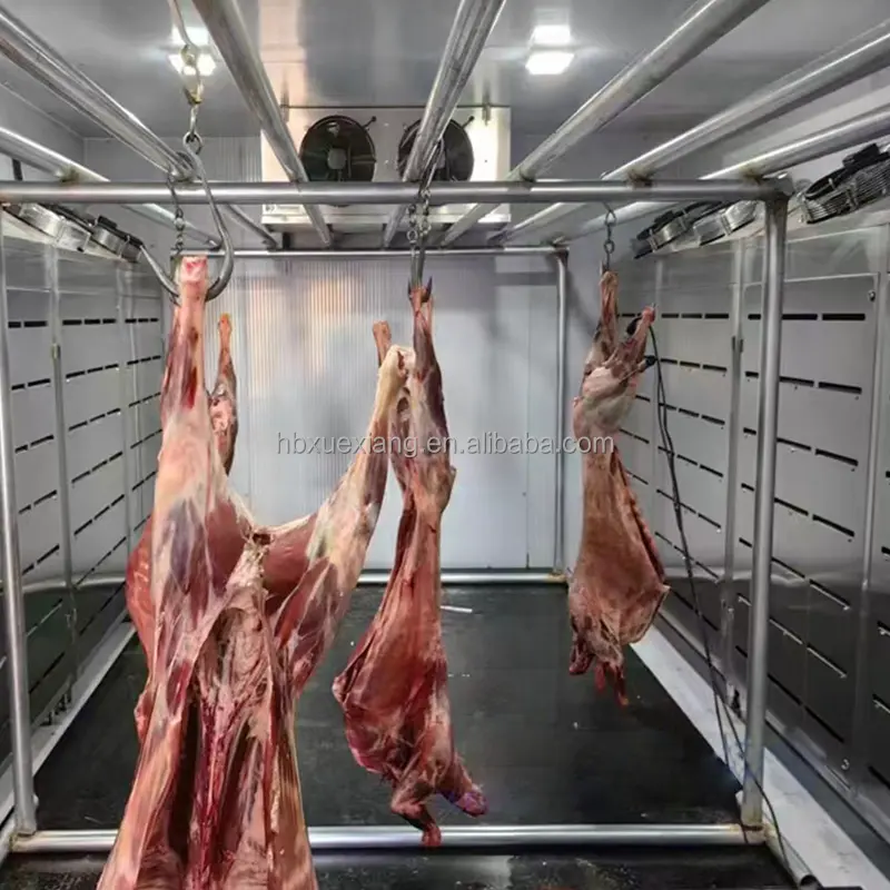 ताजे मांस के लिए बड़े आकार का कोल्ड स्टोरेज रूम कूल फ्रीजिंग रेफ्रिजरेशन
