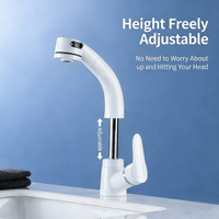 Robinet de lavabo moderne à monter sur comptoir, mitigeur monocommande avec douchette extractible, finition chromée, cartouche céramique, acier inoxydable, bec orientable à 360°