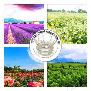 100% puro olio essenziale biologico 44 gusti tra cui limone rosa lavanda terapeutico geranio legno di sandalo Lime etichetta privata - Product Image 5