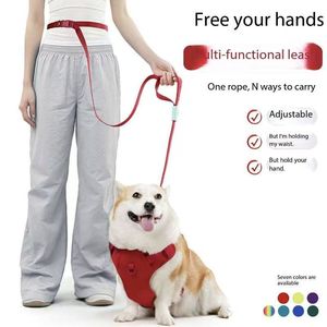 Laisse de Luxe Multifonctionnelle pour <span class=keywords><strong>Chien</strong></span> avec Sangle Ajustable Anti-Dérapante et Anti-Disturbance pour Chiens de Taille Moyenne/Petite - Product Image 1