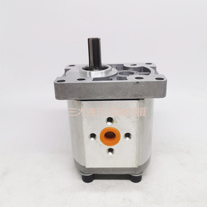 ปั๊มไฮดรอลิกเกียร์ Luosheng รุ่น CBN-F310 350 บาร์ 1 สเตจ ขับเคลื่อนด้วยไฟฟ้า ชุดปั๊มน้ำมันแรงดันสูง - Product Image 3