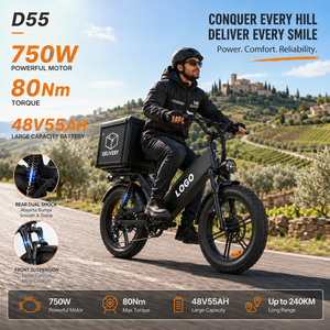 Bicicleta Eléctrica de Carga D55, 48V55Ah, E-MTB, 750W, Neumático Grueso de 20 Pulgadas, 240 km de Autonomía, Bicicleta de Reparto OEM para Repartidores - Product Image 1