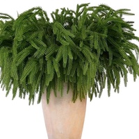4 lots de branches artificielles de pin de Norfolk, aiguilles de sapin artificielles pour couronnes DIY, décoration de vases, décoration de Noël pour la maison