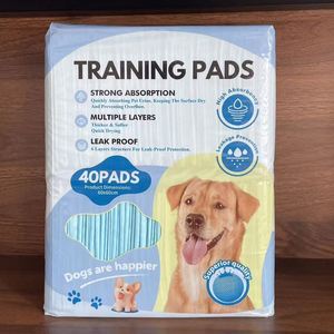 Fournisseur chinois de tapis d'entraînement jetables pour chiots et chiens, 60 x 60 cm, pour l'apprentissage de la propreté des chiens - Product Image 2