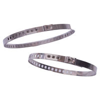 Colliers de serrage réglables en acier inoxydable 304 à oreille unique pour tuyaux PEX, supports de fixation pour usage automobile et industriel (en pouces)
