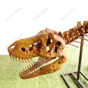 Factory Customized Realistic Fossil Exhibition Dinosaur Bone