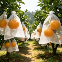 Sac de protection pour fruits en non-tissé blanc avec cordon de serrage, anti-insectes, anti-oiseaux, protection contre le gel pour la ferme et le jardin