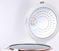 Cuisinière à riz électrique intelligente en acier inoxydable 2,8 L, revêtement antiadhésif, cuisson rapide, portable, écologique, pour hôtel et usage domestique