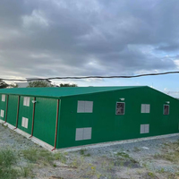 Casas prefabricadas Casas diminutas Estructuras de acero Almacén comercial/Construcción de acero y cobertizos inmobiliarios Edificios de construcción