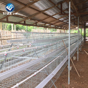 Gia cầm trang trại nhà thiết kế/xây dựng HTX gà/pin lồng gà đẻ - Product Image 4