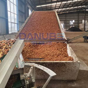 Nueva Línea de Producción para Limpieza y Secado de Cáscaras de Naranja y Limón con Secador de Malla - Product Image 1