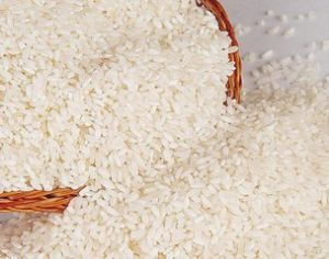 เครื่องบดข้าว1ตันต่อชั่วโมงเครื่องบดข้าวเชิงพาณิชย์พร้อมเครื่องบดข้าว1ตันต่อชั่วโมง - Product Image 6