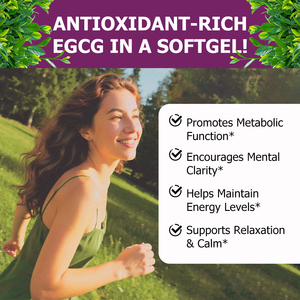 Cápsulas de Té Verde Más Vendidas, Promueven la Función Metabólica, Fomentan la Claridad Mental, Contienen Extracto de Té Verde - Product Image 3