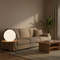 Lampe sphérique LED rechargeable sur pied, étanche IP65, CRI 95 élevé, télécommande, pour aménagement paysager et Noël