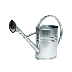 Arrosoir en métal 10L diffuseur d'eau galvanisé pour plantes de jardinage d'intérieur extérieur ovale avec poignée et bec amovible - Product Image 1