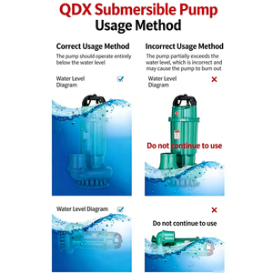 Bomba Sumergible QY QDX3-32-1.1: 1.1kW, Flujo de 3m³/h, Altura de Elevación de 32m para Dragado de Estanques y Eliminación de Lodos - Product Image 4