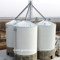 Silo a Grana Verticale con Fondo a Tramoggia per Stoccaggio Materie Prime, Silo Agricolo per Arachidi e Cereali