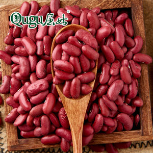 Ed idney Beans anned 2023, alta calidad - Product Image 5