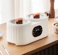 Usine en gros qualité 900w cuiseur à riz électrique 3.6L micro-ondes Double Pot cuiseur à riz pour 2-3 personnes