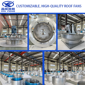 Ventilateur d'extraction de toit autoportant en acier inoxydable personnalisable OEM/ODM avec turbine à énergie éolienne - Product Image 6