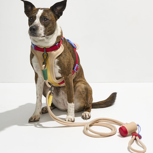 Harnais pour chien et chat BOBO&YOYO, nouveau design tendance, personnalisable avec logo, luxe, respirant, en polyester solide, avec boucle. - Product Image 3