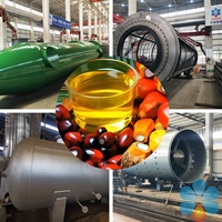 Fabrieksleverancier Van Hoge Kwaliteit 1-100tpd Palmvruchten Oliemachine Cpo Pko Complete Procesfabriek