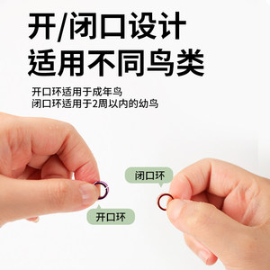 Sacchetti per la pulizia di gabbie per <span class=keywords><strong>pappagalli</strong></span>, tappetini monouso per la pulizia del vassoio, coperture in pellicola elastica in PE - Product Image 4