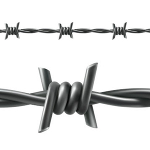 <span class=keywords><strong>ลวดหนาม</strong></span>ลวดเหล็กแบบใหม่สำหรับมีดโกนอิรักและปากีสถาน - Product Image 1
