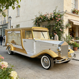 Funeral Horse Chariot Electric Vehicle Classic Hearse <b>Car</b> Electric Hearse Vehicles With Good Price - Product Image 1
