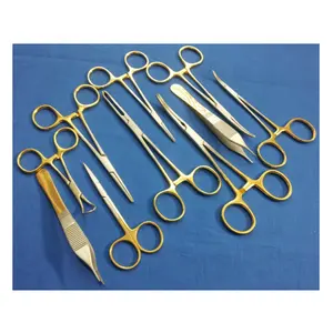 High Quality Stainless Steel Golden Bottom Feline Spay Pack Of 22 Pcs Available In Low Price