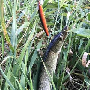 Leurre <span class=keywords><strong>de</strong></span> pêche flottant à queue longue 10cm 9g, crankbait wobbler, appât dur avec yeux 3D pour la pêche - Product Image 6