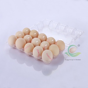 egg carton box factory 15 cell egg tray