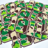 Gros Camouflage Couleur 1911 Numéro Chenille Patchs pour Vêtements