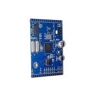 Module de microphone professionnel RAYSOUNDS 3.0 pour effets sonores de scène, amplificateur de puissance trois-en-un stable