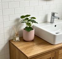 Plantes succulentes artificielles en plastique vertes pour la décoration de bureau et de maison, mini 16 cm, écologiques, pour la remise des diplômes