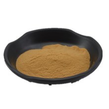 Polvo de <span class=keywords><strong>bioflavonoides</strong></span> cítricos Buen precio Ingrediente 60% Polvo de extracto de cítricos <span class=keywords><strong>Bioflavonoides</strong></span> - Product Image 4