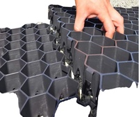 Vente en gros de pavés à gazon HDPE pour gazon paysager pavés à grille écologiques pour pavage d'allée