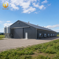 Bâtiment d'élevage avicole préfabriqué en structure métallique, bâtiment d'élevage de poulets ventilé, installation agricole pour bétail